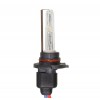 HB3 / 9005 Xenon Lamp